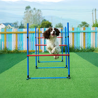 Thumbnail for Dog Agility Training Set for Pets