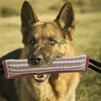Thumbnail for Dog Bite Toys, Dog Bite Toys, Dog Bite Toys, Jute Dog Bite Toys, Dog Training Toys, Interactive Toys For Medium To