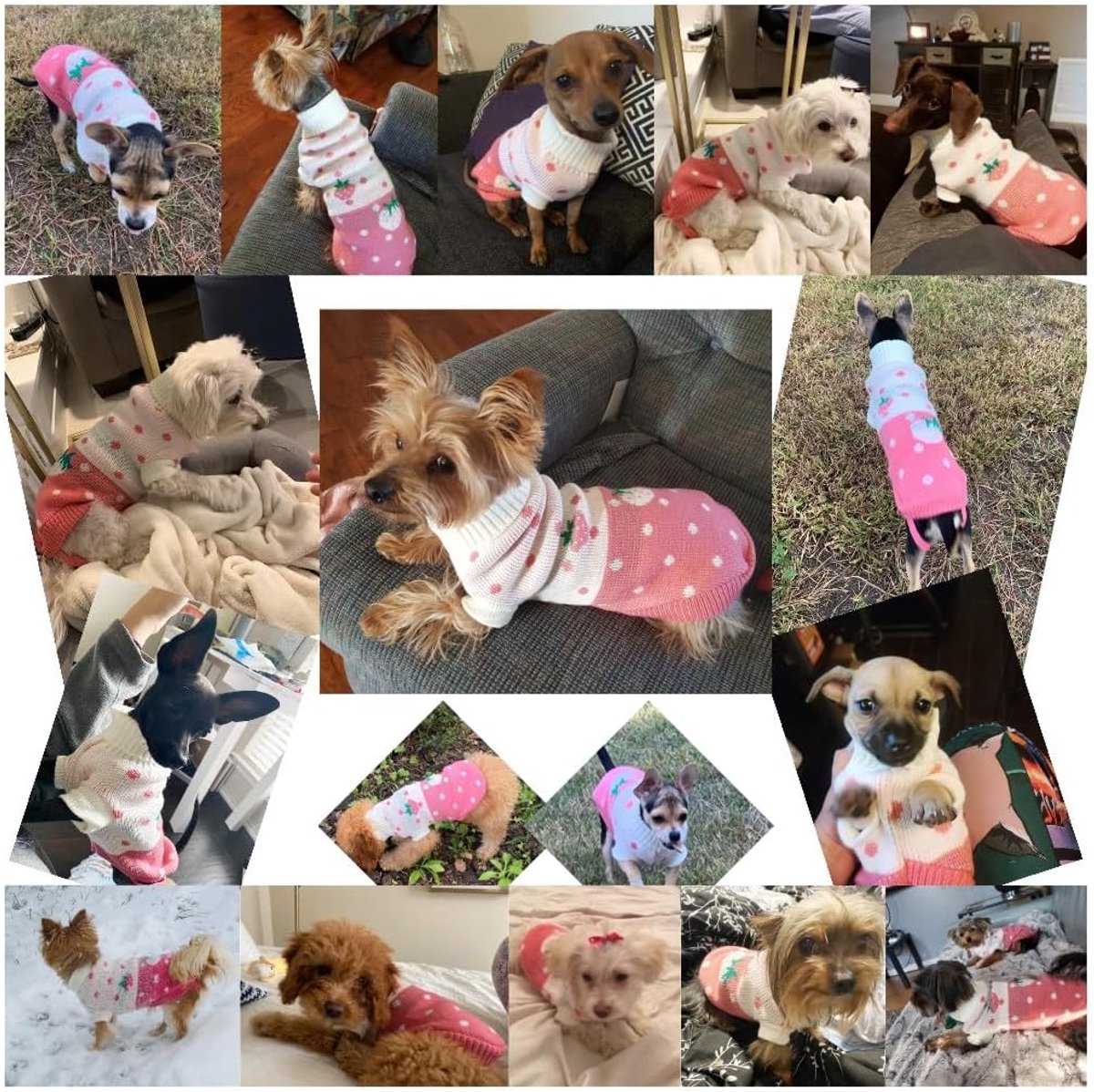 Dog Coat - Dog Sweater - Classic Knit Turtleneck Sweater - Warm Winter Dog Clothes - Adorable Strawberry Heart Pattern - Perfect for Small and Medium Dogs - Pink - Size L