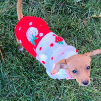 Thumbnail for Dog Coat - Dog Sweater - Classic Turtleneck Knit Dog Sweater - Warm Winter Dog Clothes - Cute Strawberry Heart Pattern - Perfect for Small and Medium Dogs - Red - Size XXL