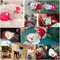 Thumbnail for Dog Coat - Dog Sweater - Classic Turtleneck Knit Dog Sweater - Warm Winter Dog Clothes - Cute Strawberry Heart Pattern - Perfect for Small and Medium Dogs - Red - Size XXL