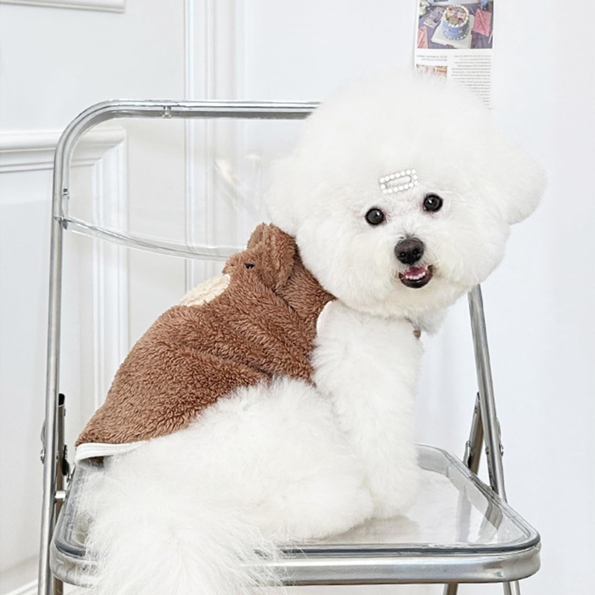 Dog Sweater - Dog Coat - Warm Winter Sweater - Warm Dog Coat - Teddy Bear - Plush Coat - Warm Clothes - Perfect for Small Dogs - Medium Dogs - Dog - Coffee - Size Medium - Size XL