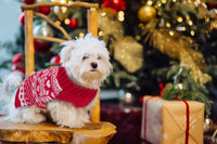 Thumbnail for Dog Sweater - Christmas Dog Sweaters - Sleeveless Dog Sweaters - Dog Coat - Warm Autumn and Winter Puppy Sweater - Ugly Sweater - Perfect for Small Dogs - Dog - Medium - New Year's Holidays - XL