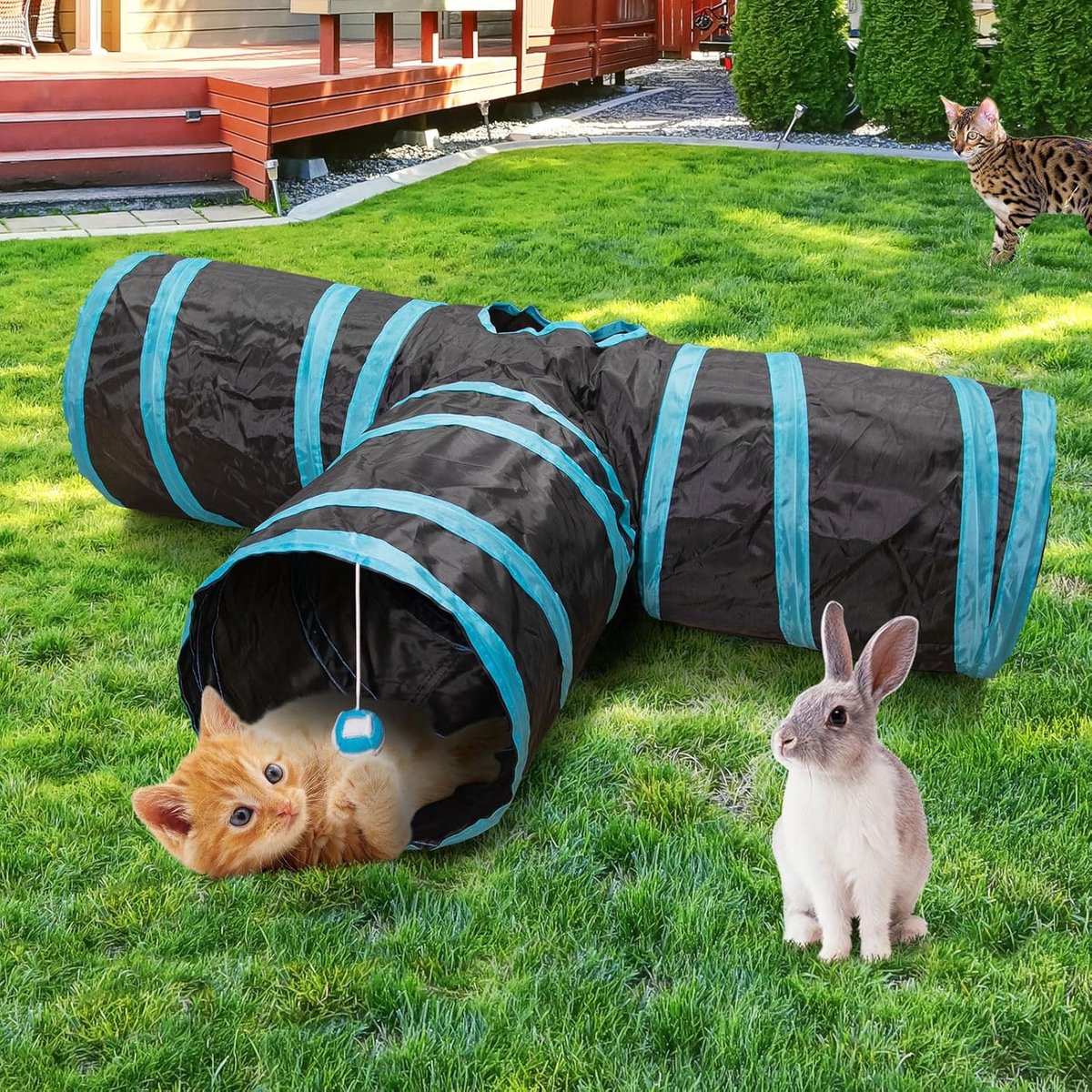Cat Tunnel - 3 Passages - Play Tunnel for Animals - Cat Tunnel with Play Ball - Cat Tunnel - Cat House - Cat Play Tunnel - Rabbit Tunnel - Crawl Tunnel - Cat Toys - Blue