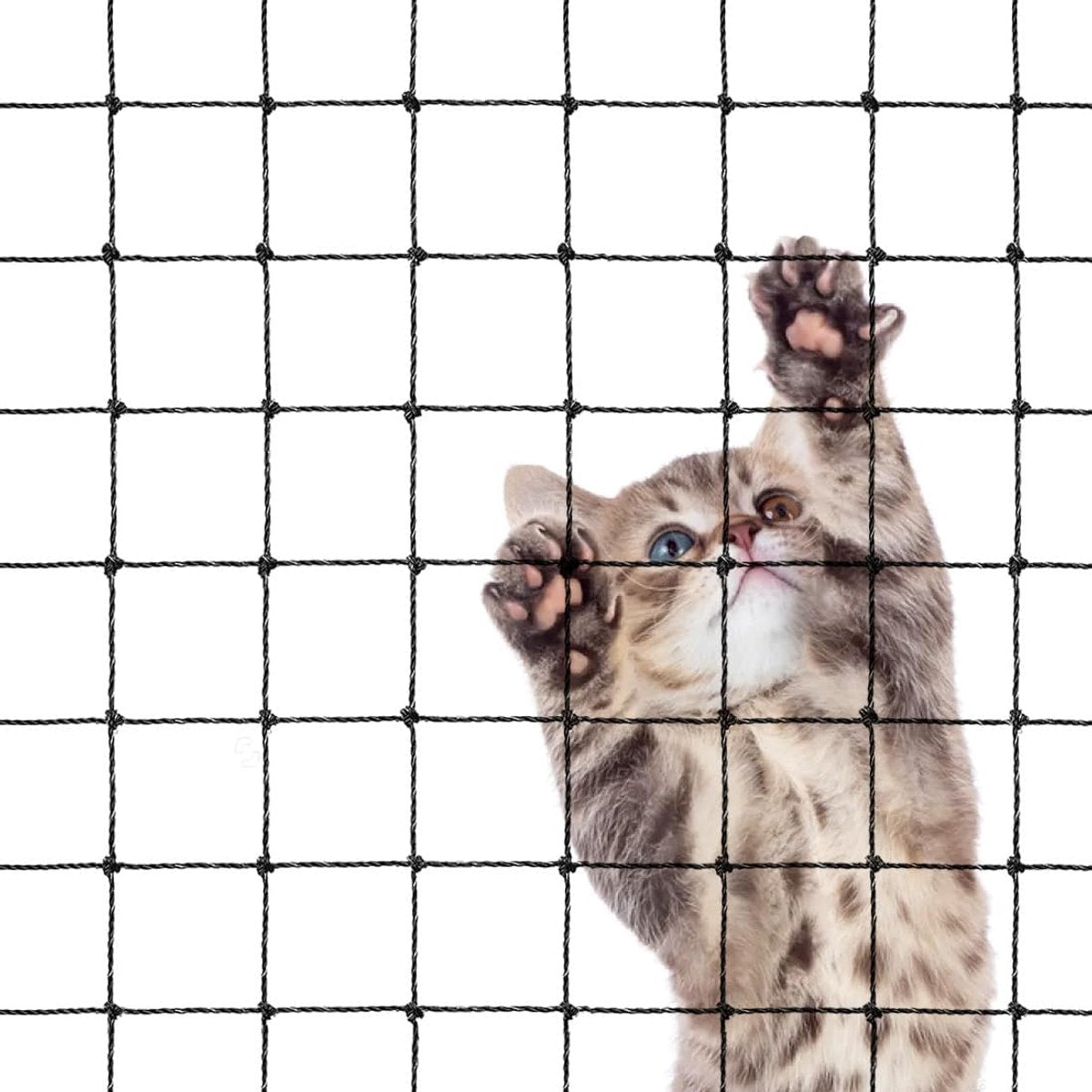 Cat Net - 8*3 m - Cat Balcony Net - Cat Protection Net - Cat Mesh - fall protection net for cats - fall safety net - mesh balcony railing - dog fencing - fall protection net for pets - safety net - with accessories - black
