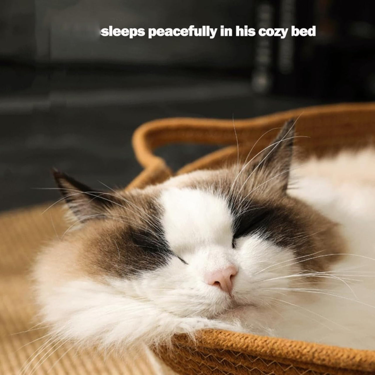 Stimulicat Cat Bed Rope Cotton, Stimuli cat Basket Bed, Cotton Rope Woven Round Cat Beds Basket with Built-in Teasing Ball, Handwoven Foldable Scratchable for Small & Large pet Green