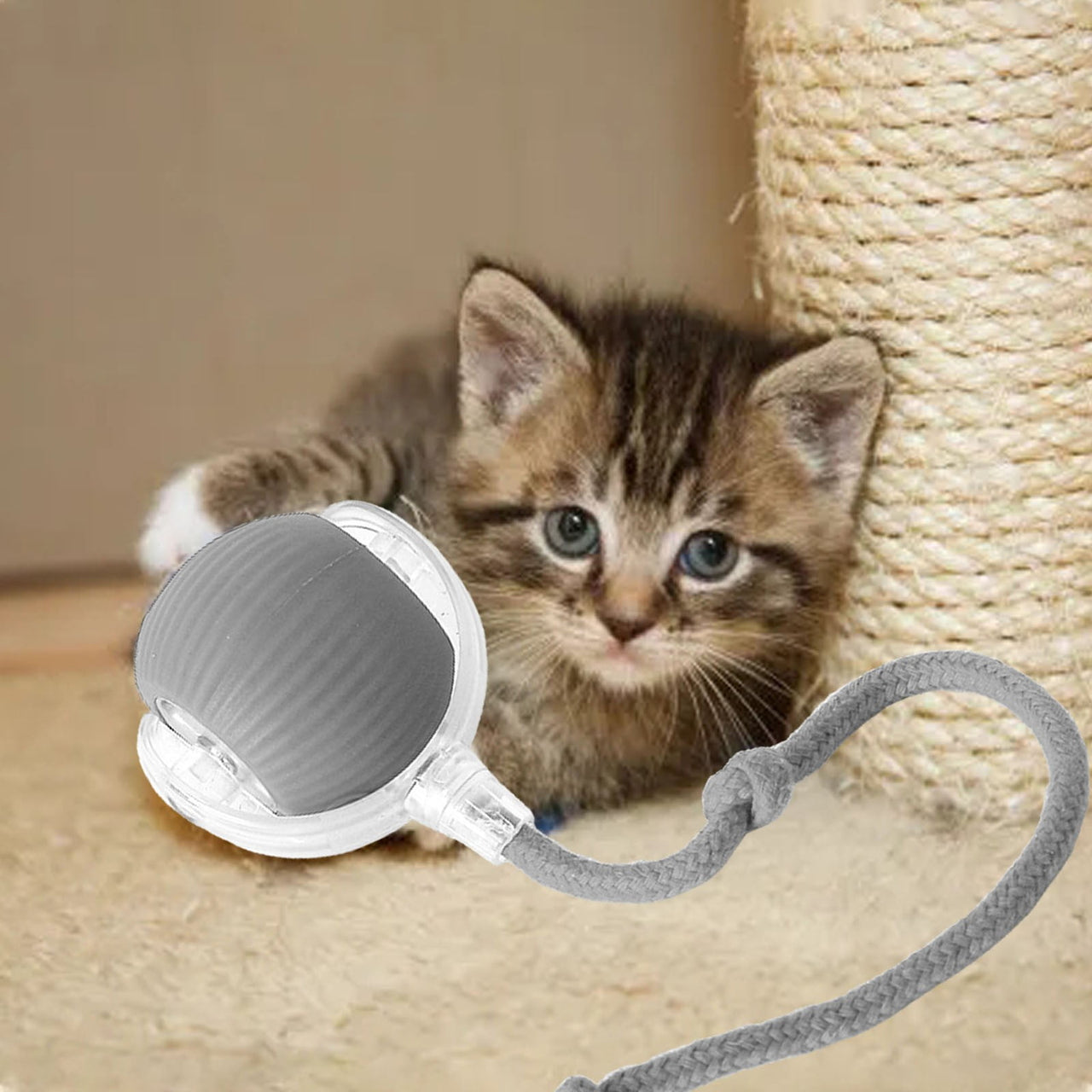 3 Pack Interactive Cat Ball Toy - Electric Cat Toy with USB Rechargeable, Three Working Modes, 360° Rolling Smart Ball for Cats and Dogs