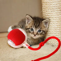 Thumbnail for 3 Pack Interactive Cat Ball Toy - Electric Cat Toy with USB Rechargeable, Three Working Modes, 360° Rolling Smart Ball for Cats and Dogs