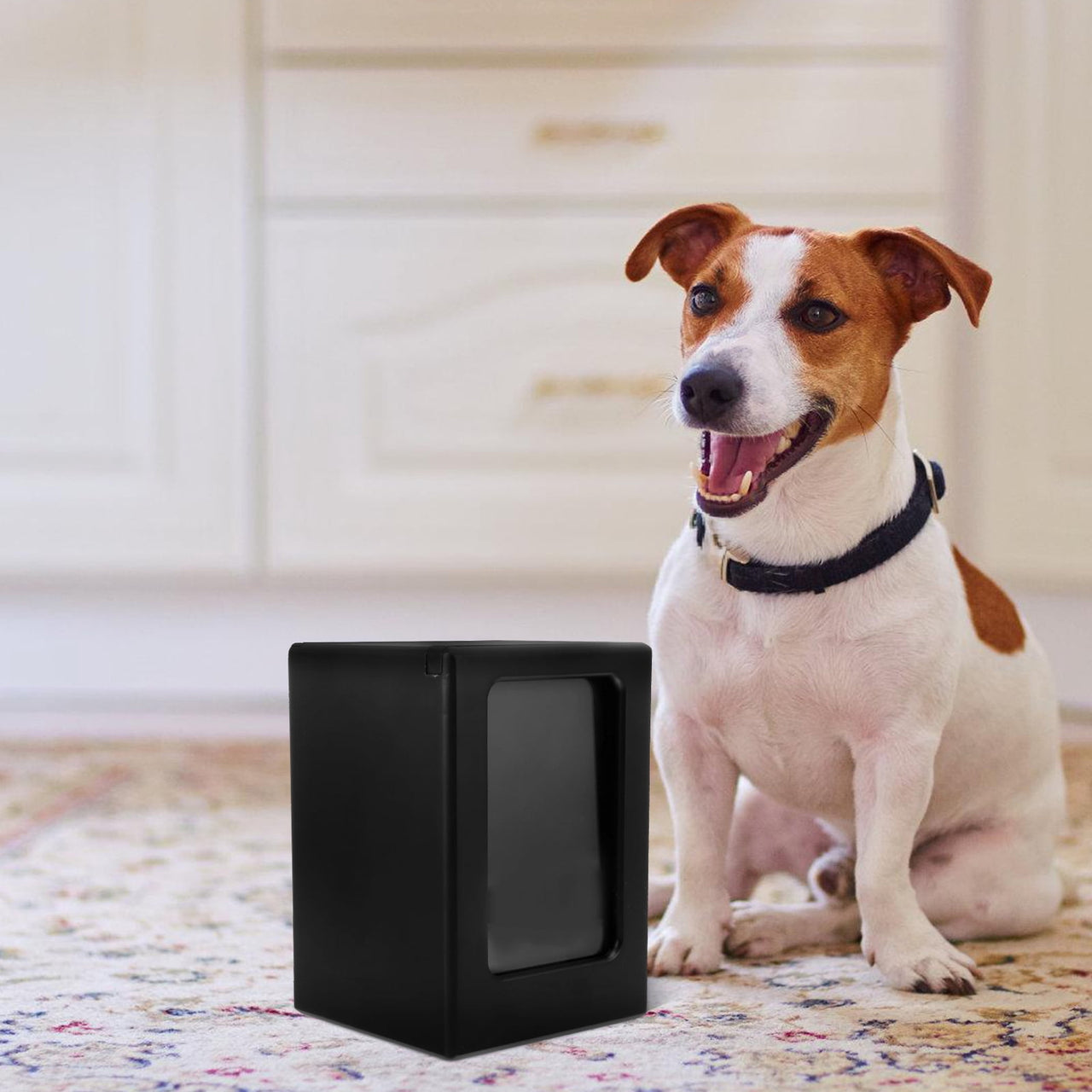 Worgeous Wooden Pet Memorial Urn Box for Dog and Cat Ashes Keepsake with Elegant and Design