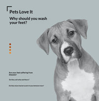 Thumbnail for PetPawPrintCup-Orange