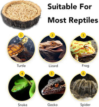 Thumbnail for 2 Pack Reptile Water and Food Bowls, Novelty Food Bowl for Lizards, Young Bearded Dragons, Small Snakes and More - Made from BPA-Free Plastic
