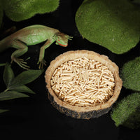 Thumbnail for 2 Pack Reptile Water and Food Bowls, Novelty Food Bowl for Lizards, Young Bearded Dragons, Small Snakes and More - Made from BPA-Free Plastic