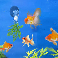 Thumbnail for 12Pcs Veggie Clips Aquarium Seaweed Clips Fish Food Holder Wide Mouth Clips Plants Suction Cups Algae Clips for Freshwater and Marine Fish Tank (Plastic)