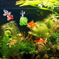 Thumbnail for 12Pcs Veggie Clips Aquarium Seaweed Clips Fish Food Holder Wide Mouth Clips Plants Suction Cups Algae Clips for Freshwater and Marine Fish Tank (Plastic)