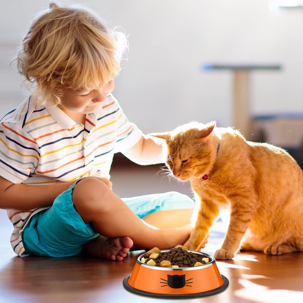 6 Pcs Cat Bowls for Food and Water Dishes Stainless Steel Pet 7 oz Anti Slip Metal Dish with Removable Rubber Base Thick Feeding Indoor Kitten Small Dog(Classic Color) Classic Color