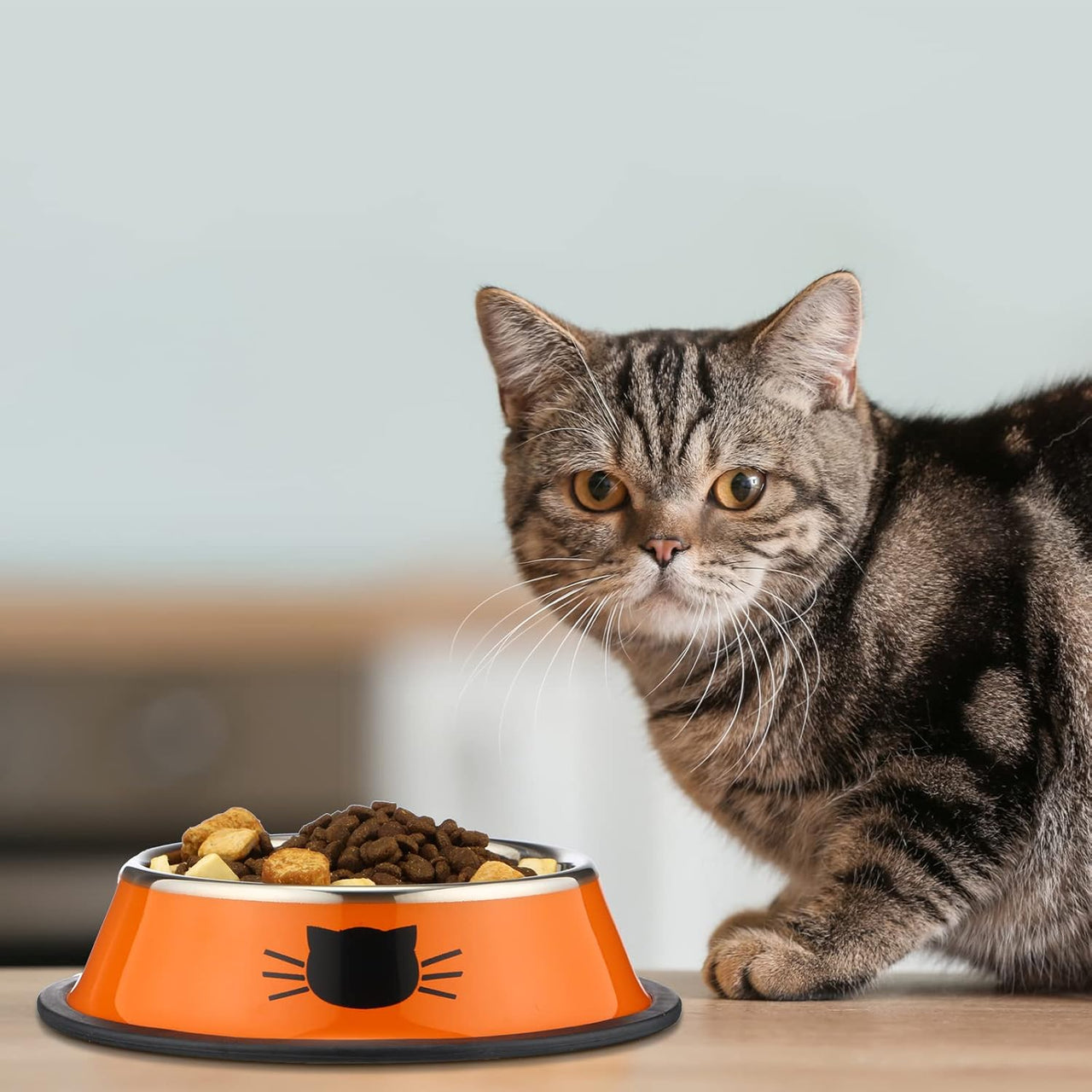 6 Pcs Cat Bowls for Food and Water Dishes Stainless Steel Pet 7 oz Anti Slip Metal Dish with Removable Rubber Base Thick Feeding Indoor Kitten Small Dog(Classic Color) Classic Color