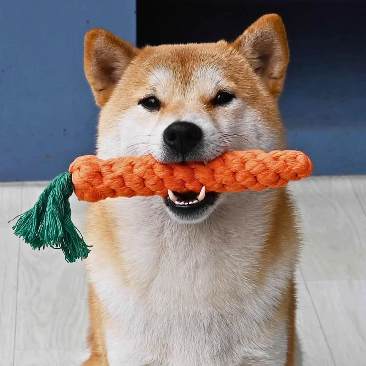 12 PCS Carrot Dog Rope Toys for Dogs, Durable Chew Toys for Aggressive Chewers, Entertainment & Interaction, Teeth Cleaning and Chewing, All-Cotton