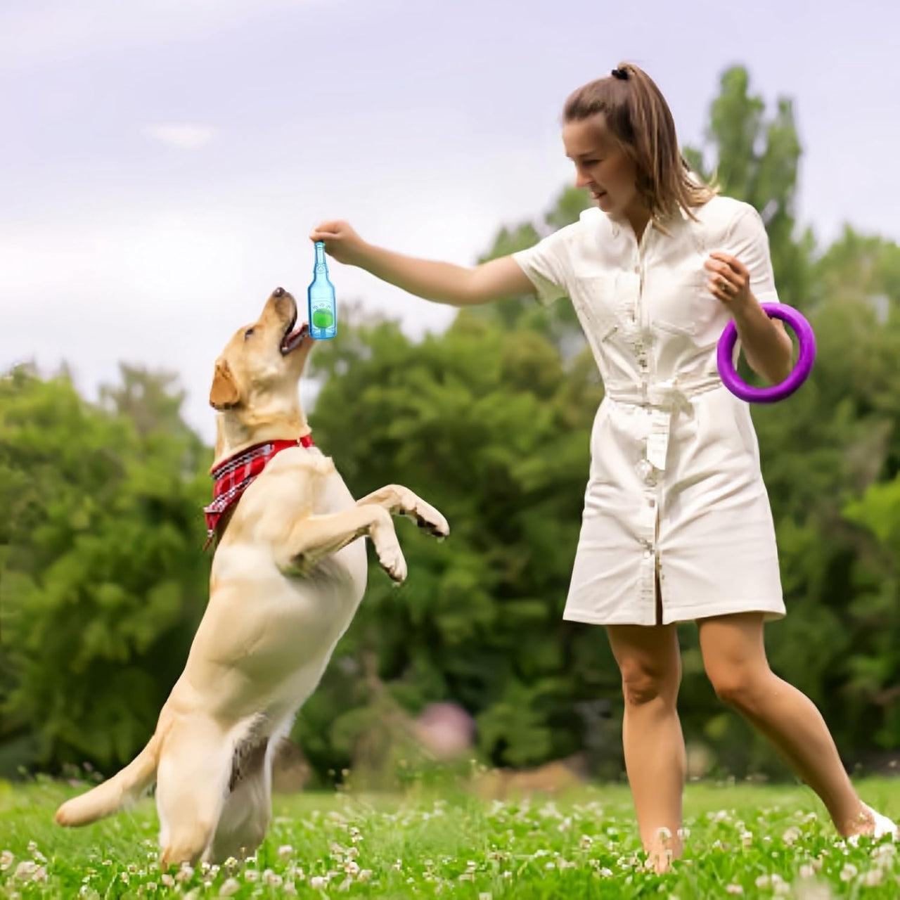 Water Bottle Dog Toy, Crunchnplay Bottle Toy,Crunchnplay Dog Chew Bottle Toys Squeaky,Rubber Water Bottle Toys with Tennis Ball,Interactive Fetch Toy for Play and Training,Small (Blue, Small)