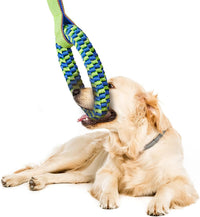 Thumbnail for Bullymake Dog Toys for Aggressive Chewers - Tug of War & Teeth Cleaning - Medium & Large Dogs