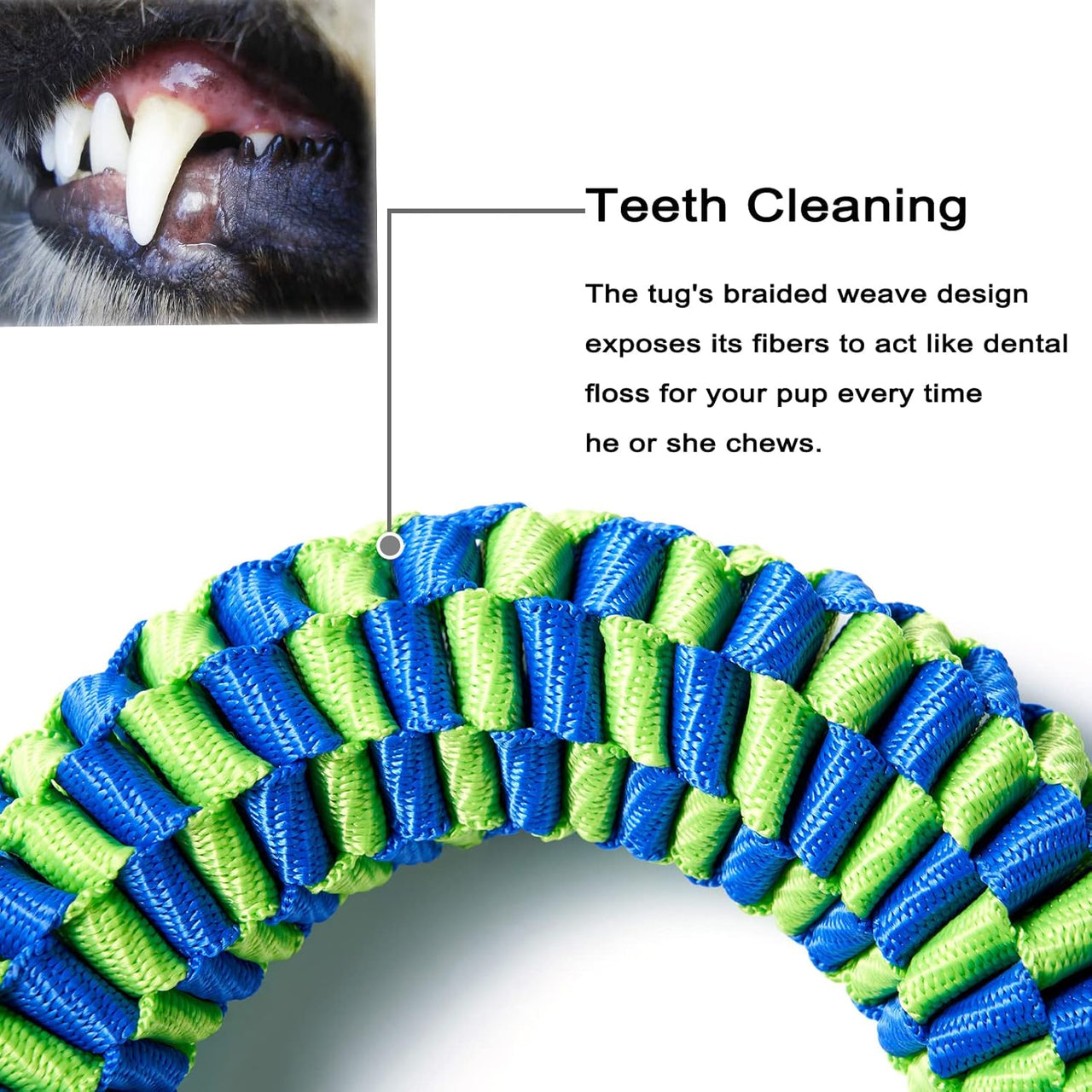 Bullymake Dog Toys for Aggressive Chewers - Tug of War & Teeth Cleaning - Medium & Large Dogs