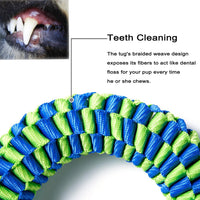 Thumbnail for Bullymake Dog Toys for Aggressive Chewers - Tug of War & Teeth Cleaning - Medium & Large Dogs