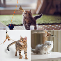 Thumbnail for 8 Pcs Cat Feather Toys with Bells, Feather Teaser Cat Toy, Replacement Feather Refills with Bells, Exerciser Playing Toy for Kitten or cat