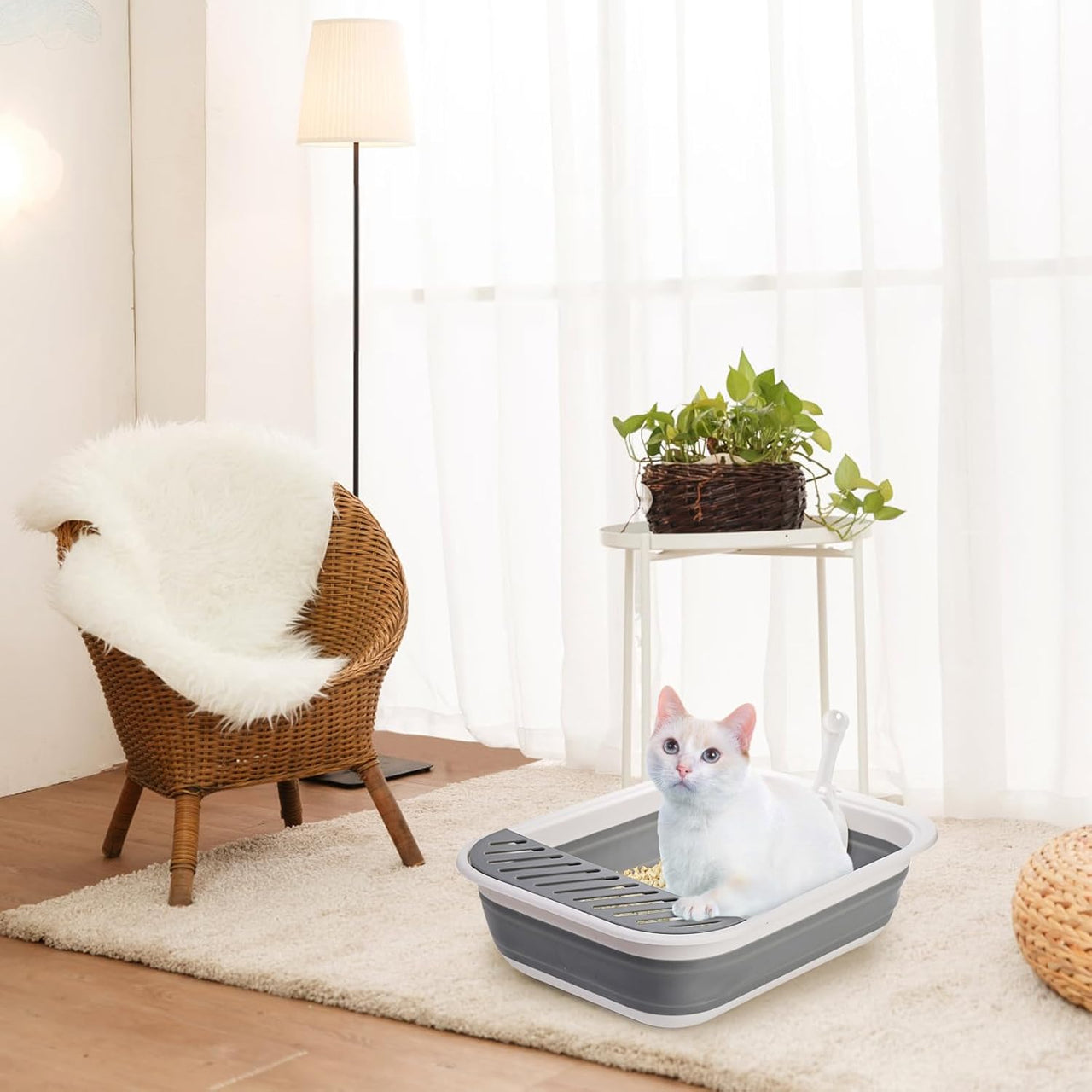 Collapsible Small Cat Litter Box, 17.7'' Open Foldable Kittens Potty with Scoop, Shallow Anti Splash Travel Toilet, Semi Enclosed Height Adjustable Sides Pan for Sick Frail Grey