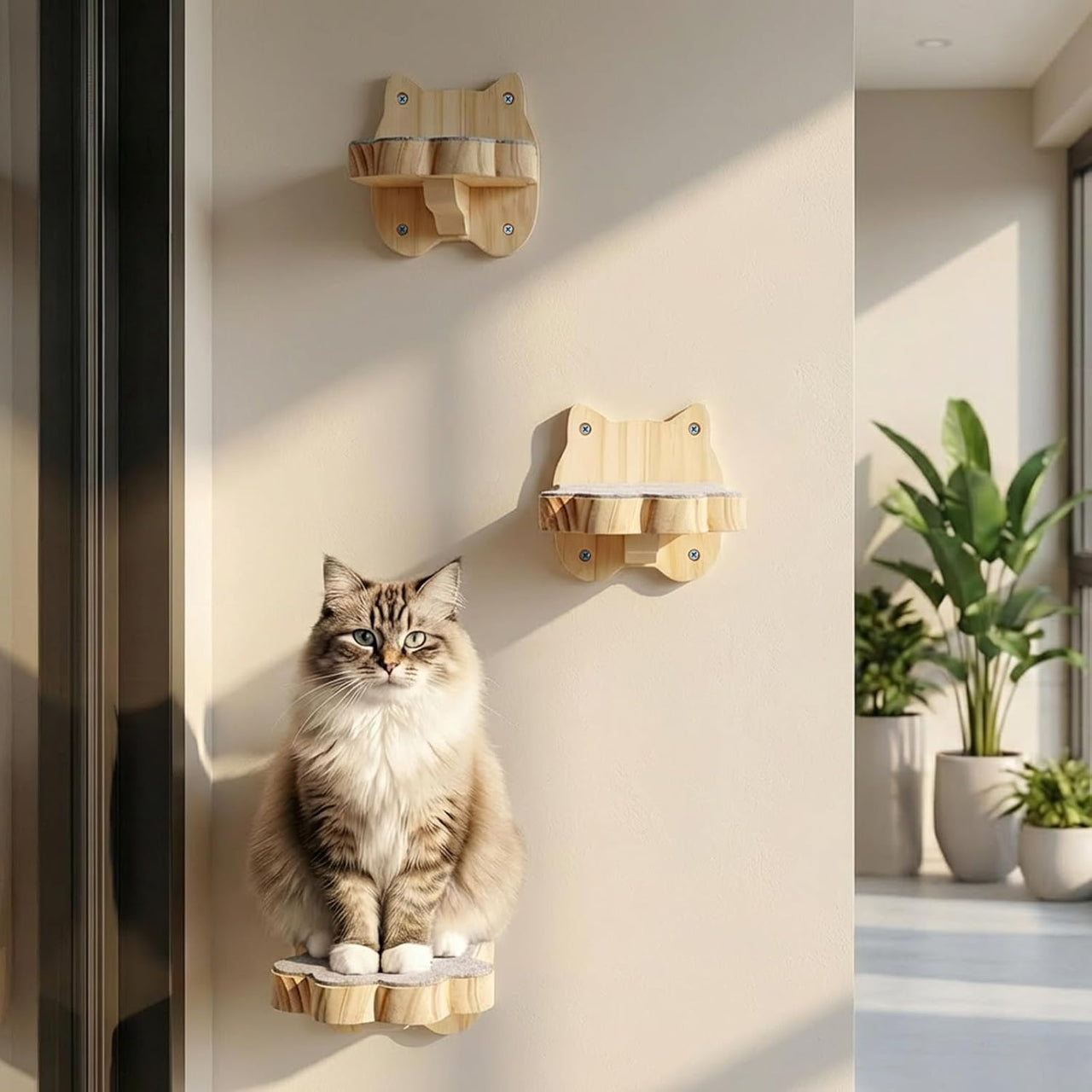 3 Pack Wood Cat Wall Steps, Mounted Cats Shelves with Non Slip Felt Mat, Floating Kittens Furniture Shelf, Perches Tree for Adult Climbing, Jumping, Lounging, Holds up 30lbs