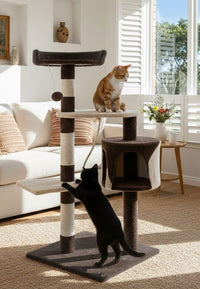 Thumbnail for CARLA HOME 140cm Cat Tree for Indoor Cats with Plush Perch, Sisal Scratching Posts & Condo for Kittens & Adult Cats (Dark Grey)