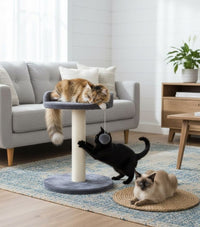 Thumbnail for CARLA HOME Cat Tree Tower for Indoor Cats with Plush Perch, Sisal Scratching Post & Hanging Ball Toy for Kittens or Small Breeds