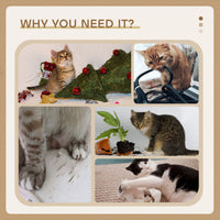 Thumbnail for CARLA HOME Cat Tree Tower for Indoor Cats with Plush Perch, Sisal Scratching Post & Hanging Ball Toy for Kittens or Small Breeds