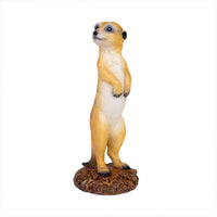 Thumbnail for Meerkat