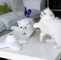 Thumbnail for Flutter Bug Butterfly Cat Toy - Interactive Teaser Pet Kitty Play - All for Paws