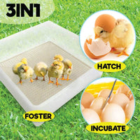 Thumbnail for Electric 112 Egg Incubator + Accessories Hatching Eggs Chicken Quail Duck