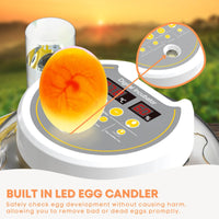 Thumbnail for Automatic 8 / 18 Egg Incubator - Electrical Turning Chicken Quail Duck Hatching