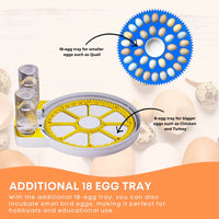 Thumbnail for Automatic 8 / 18 Egg Incubator - Electrical Turning Chicken Quail Duck Hatching