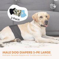 Thumbnail for Rooster Farms Male Dog Diapers Large 3Pk - Washable Reusable Nappies Hook/Loop