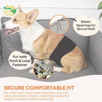 Thumbnail for Rooster Farms Male Dog Diapers Large 3Pk - Washable Reusable Nappies Hook/Loop