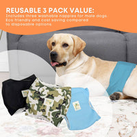 Thumbnail for Rooster Farms Male Dog Diapers Large 3Pk - Washable Reusable Nappies Hook/Loop