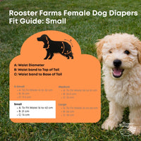 Thumbnail for Rooster Farms Female Dog Diapers Small 3Pk - Washable Reusable Nappies Hook/Loop