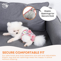 Thumbnail for Rooster Farms Female Dog Diapers Small 3Pk - Washable Reusable Nappies Hook/Loop