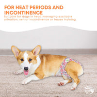 Thumbnail for Rooster Farms Female Dog Diapers Small 3Pk - Washable Reusable Nappies Hook/Loop