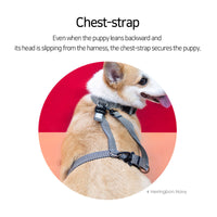Thumbnail for Dog Double-Lined Straps Harness Adjustable M MARBLE PINK