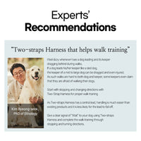 Thumbnail for Dog Double-Lined Straps Harness Adjustable M SWEET GREEN