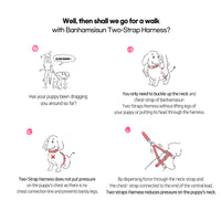 Thumbnail for Dog Double-Lined Straps Harness Adjustable M SWEET GREEN