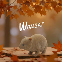 Thumbnail for Stretchy Squishy Australian Wildlife Gift Set - Sensory Stimulation Animal Toys