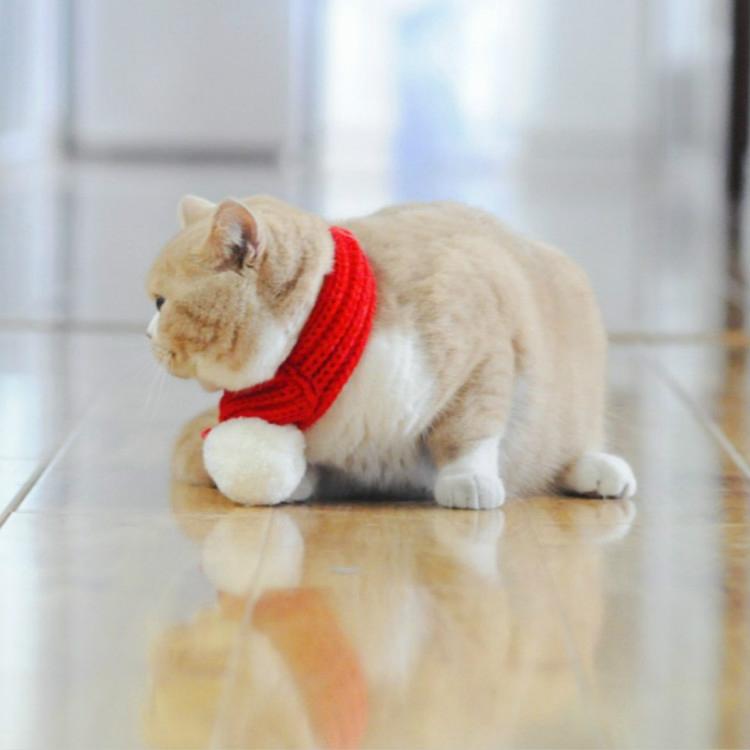 Pet Christmas Wool Scarf Saliva Towel - Size L