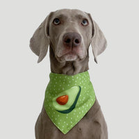 Thumbnail for Refreshing Avocado Pet Scarf Three-Layer Thickened Waterproof Saliva Towel - Size Xl