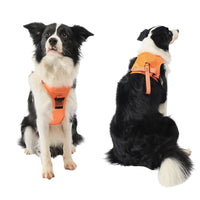 Thumbnail for Vibe Geeks Ultimate 2-in-1 Reflective No-pull Dog Harness with Retractable Leash and Control Handle - Green - M