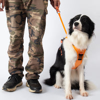 Thumbnail for Vibe Geeks Ultimate 2-in-1 Reflective No-pull Dog Harness with Retractable Leash and Control Handle - Red - L